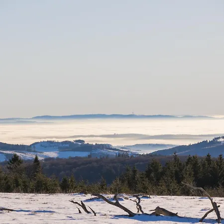 Lejlighed Welcome In - 'rothaarglueck' In Neuastenberg-winterberg Mit Aussicht Und Terrasse *