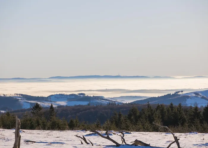 Apartamento Welcome In - 'rothaarglück' In Neuastenberg-winterberg Met Uitzicht En Terras *